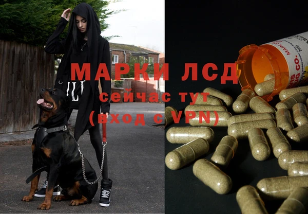 стафф Медвежьегорск
